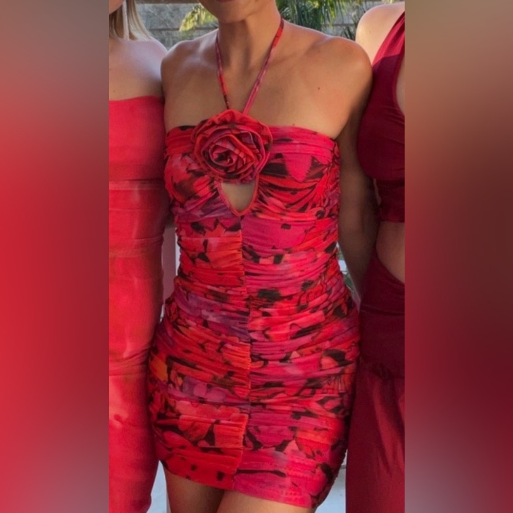 Runaway The Label Pink/Red Floral Ruched Mini Dress
